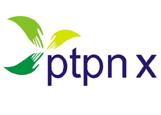 PTPN X
